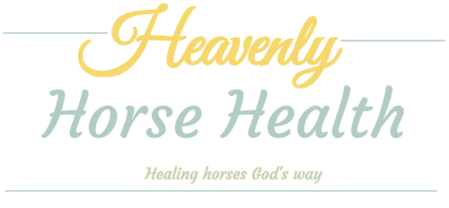 Heavenly Horse Health logo